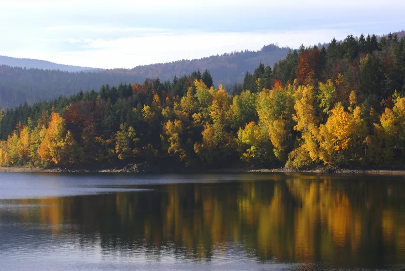 © J. Mühlbauer exclus. - stock.adobe.com Herbst im Böhmerwald