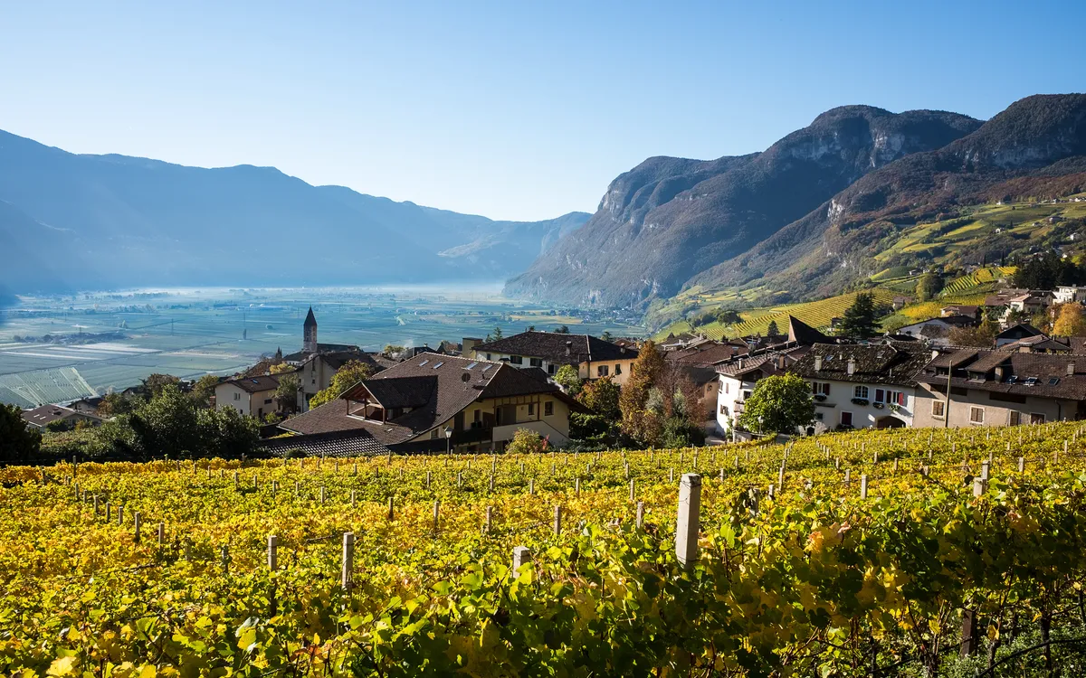 Weinberge vor einem Dorf in einem sonnigen Tal mit Bergen im Hintergrund.