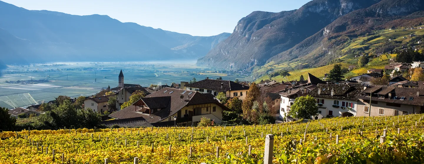 Weinberge vor einem Dorf in einem sonnigen Tal mit Bergen im Hintergrund.