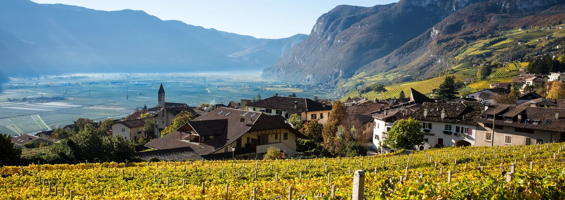 Weinberge vor einem Dorf in einem sonnigen Tal mit Bergen im Hintergrund.