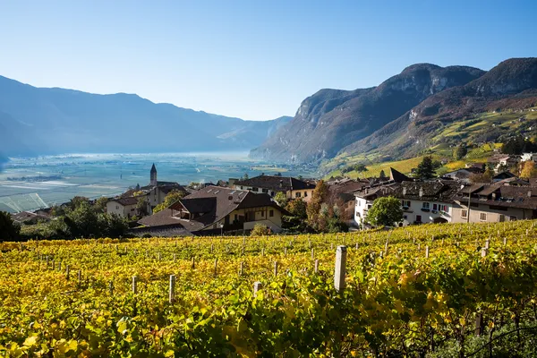 Weinberge vor einem Dorf in einem sonnigen Tal mit Bergen im Hintergrund.
