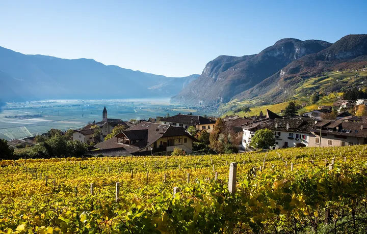 Weinberge vor einem Dorf in einem sonnigen Tal mit Bergen im Hintergrund.