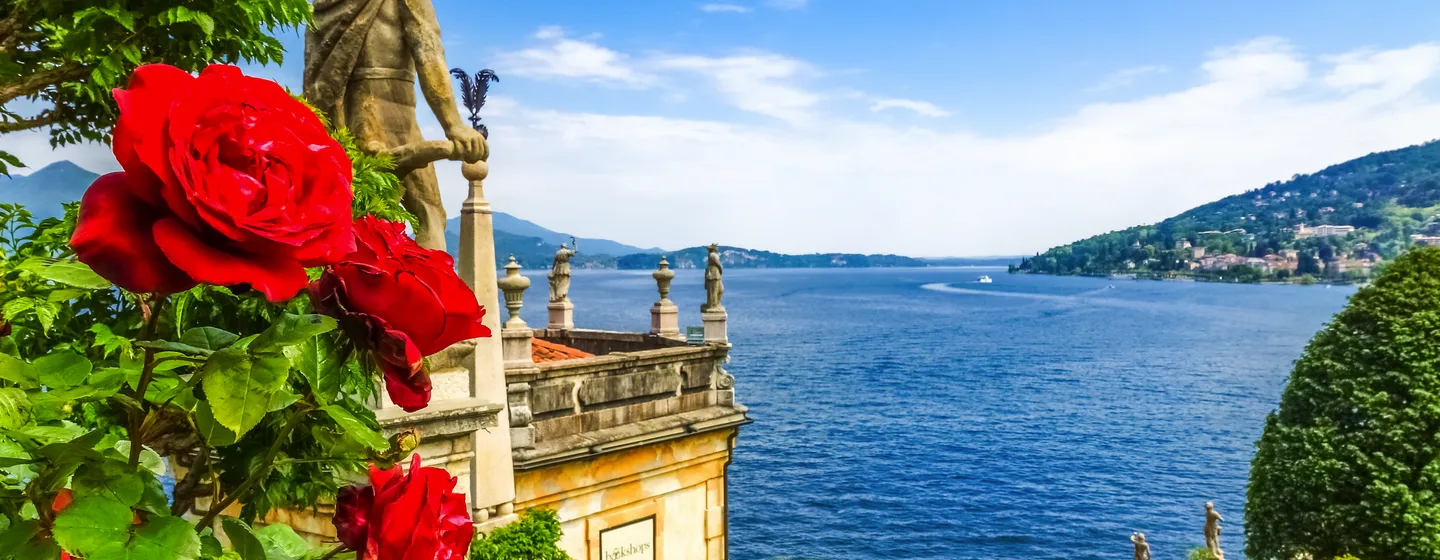 Kamelienblüte am Lago Maggiore