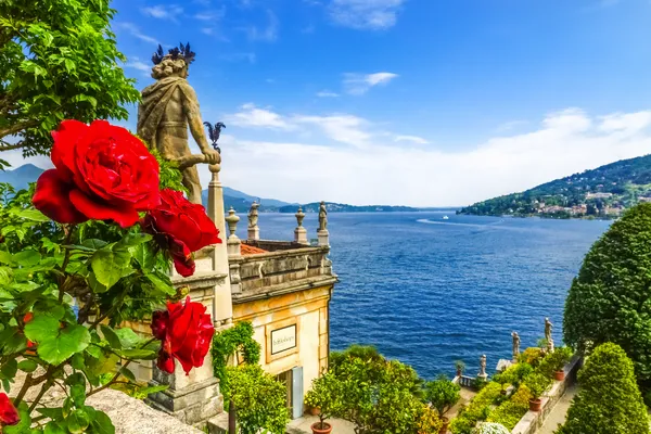 Kamelienblüte am Lago Maggiore