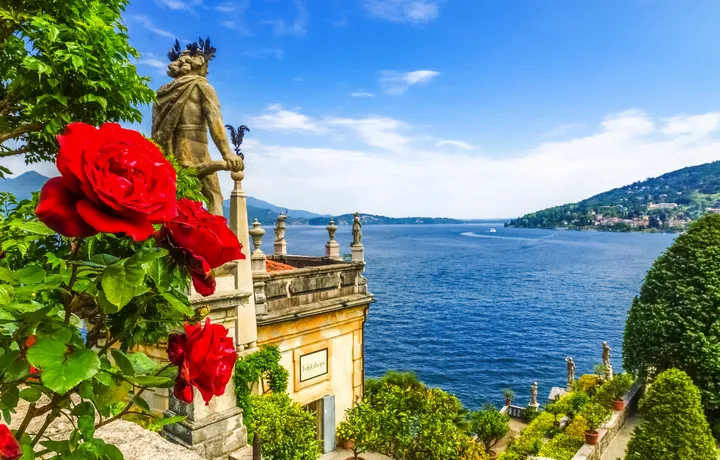 Kamelienblüte am Lago Maggiore