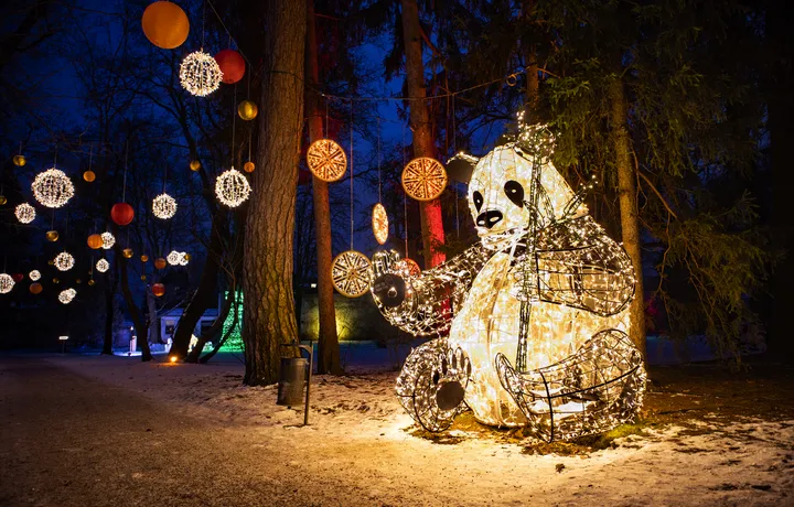 Lichterzauber in Innsbruck: Swarovski Kristallwelten und LUMAGICA