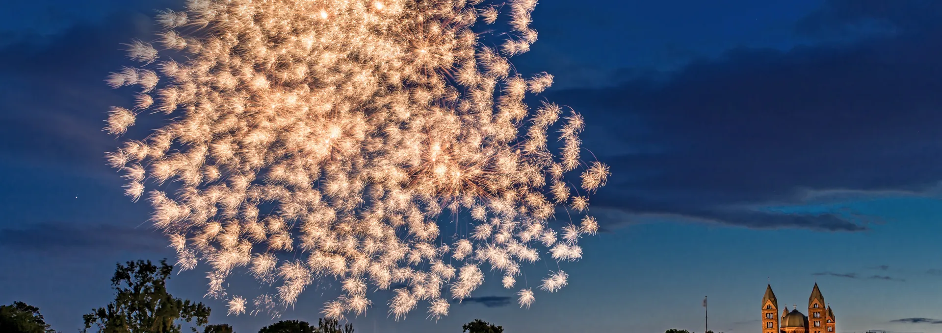Silvester in der Pfalz