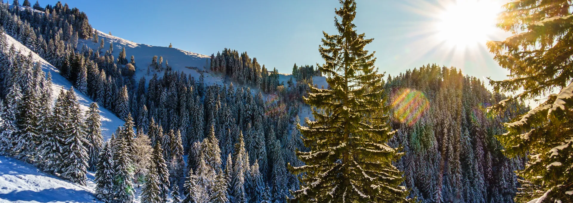 Winterliche Wohlfühltage im Bayerischen Wald