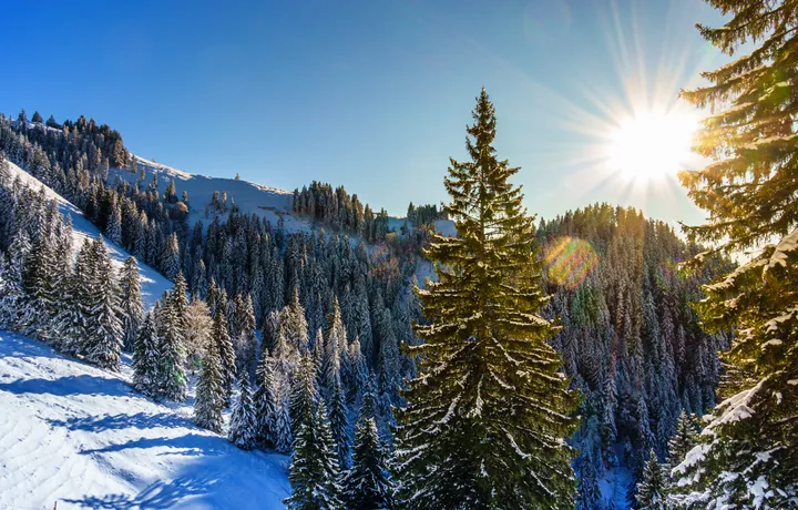 Winterliche Wohlfühltage im Bayerischen Wald