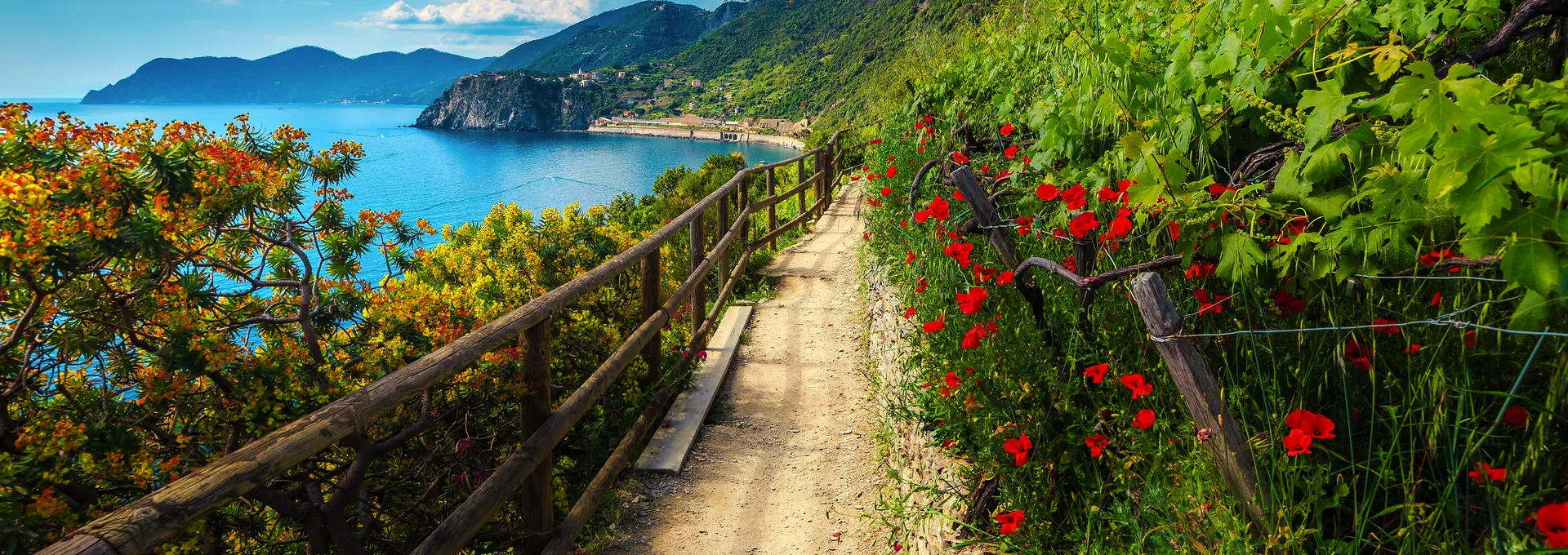 Cinque Terre - "Land über dem Meer"