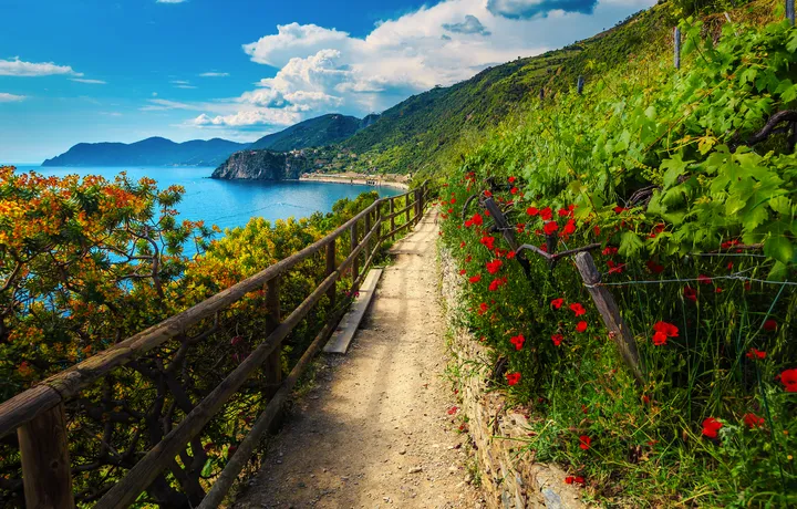 Cinque Terre - "Land über dem Meer"